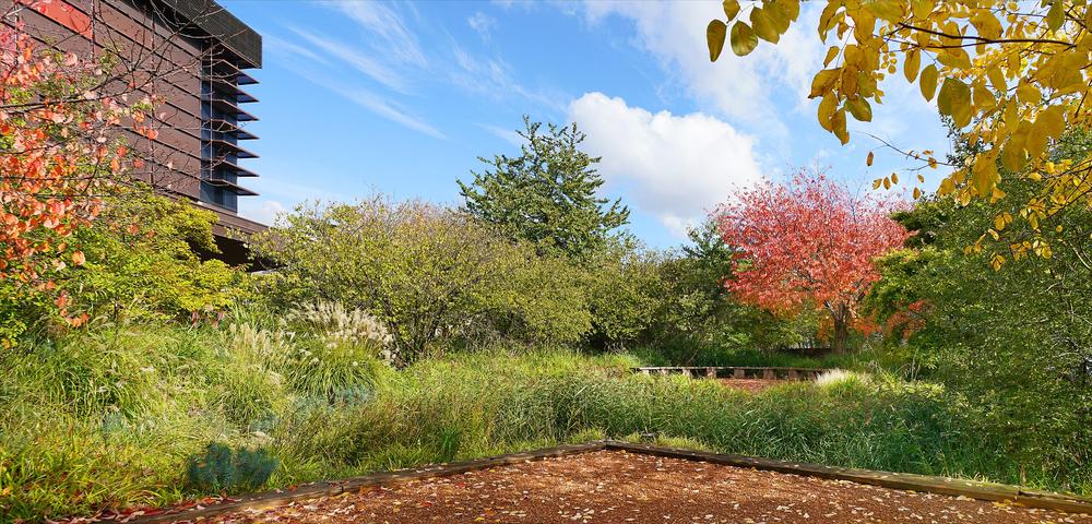 Photo de Le Musée du Quai Branly