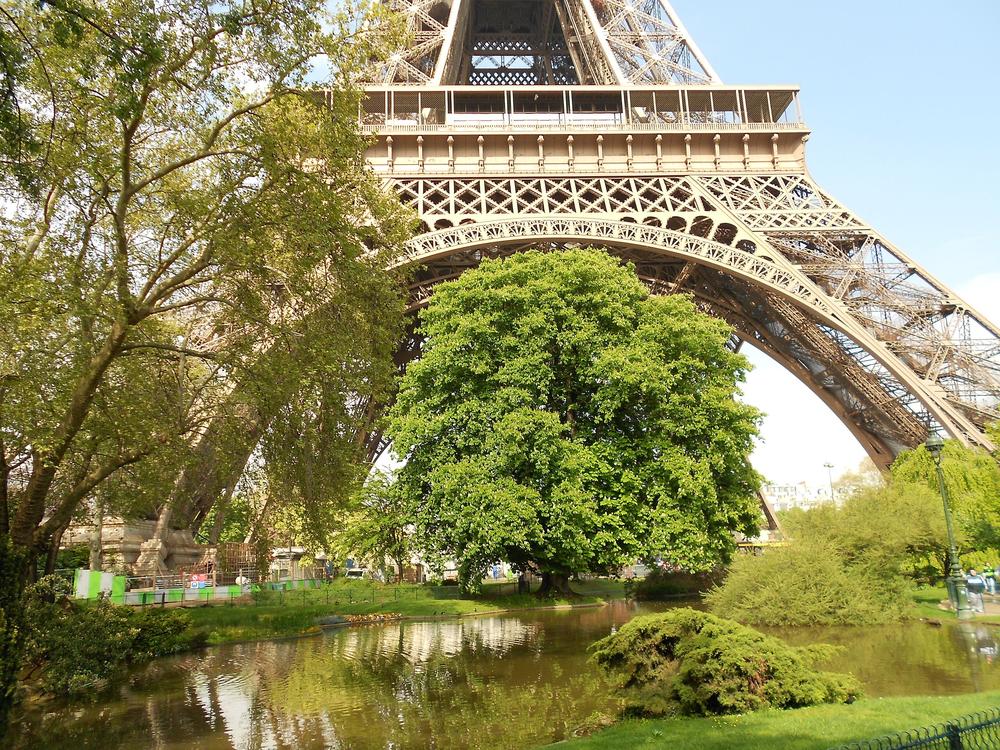Photo de Le Parc du Champs de Mars