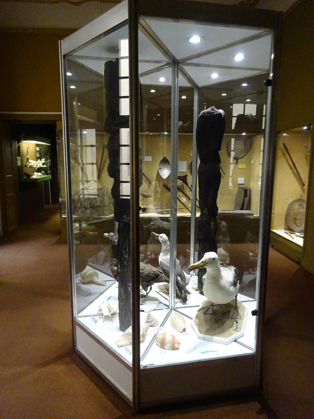 Photo de Le Musée d'Histoire Naturelle