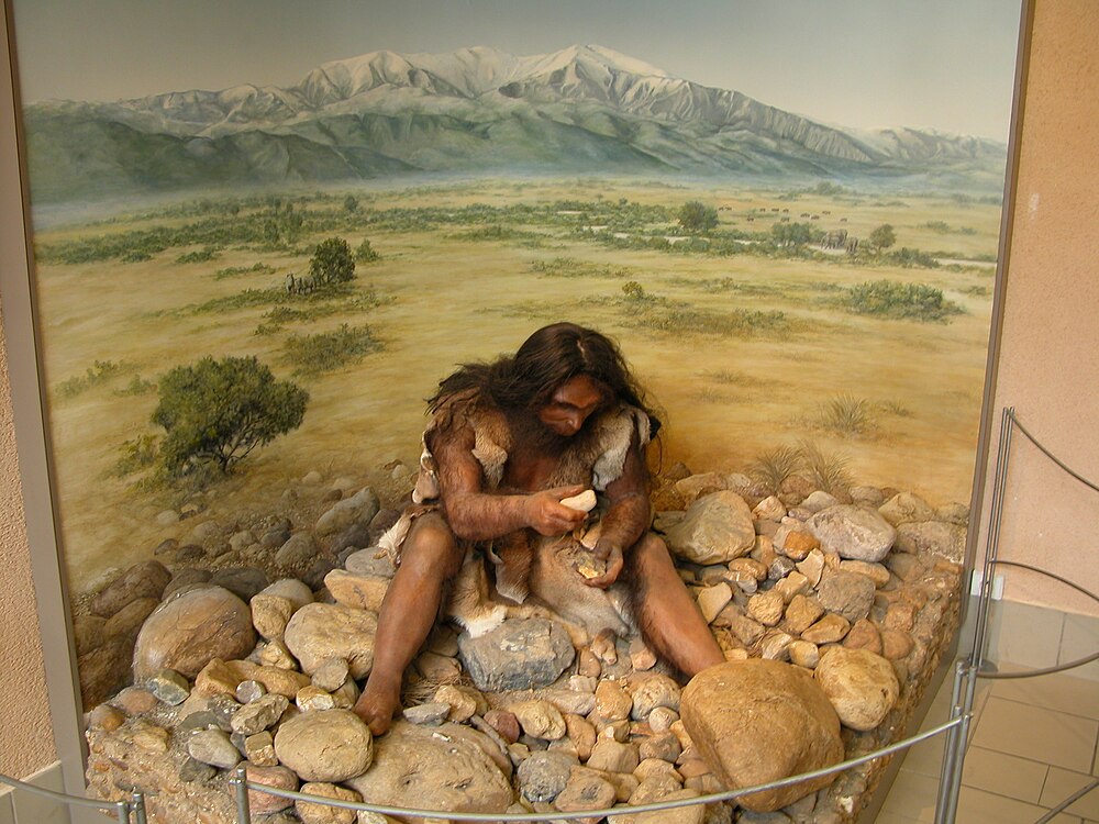 Photo de Musée de Préhistoire de Tautavel