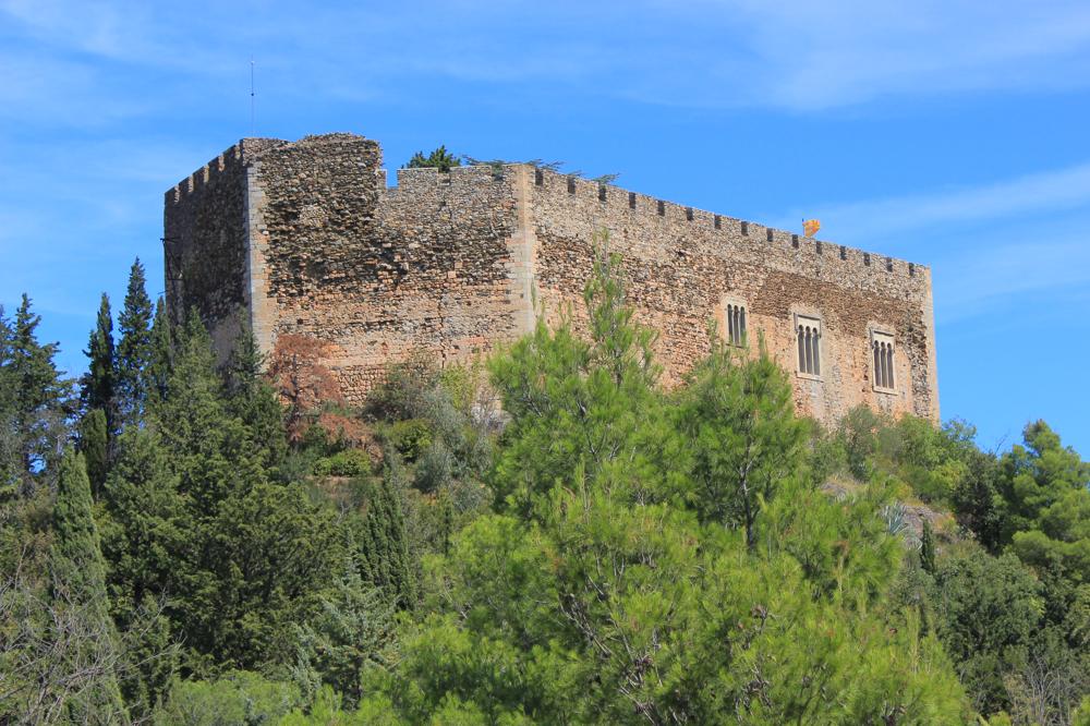 Photo de Le Château de Castelnou