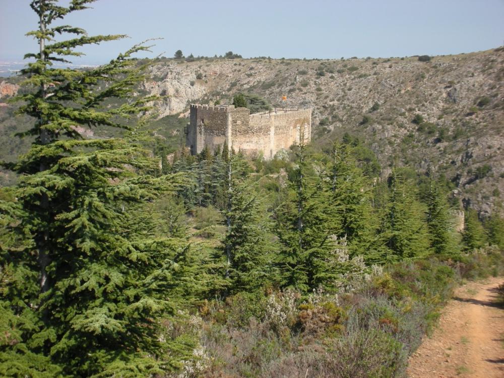 Photo de Le Château de Castelnou