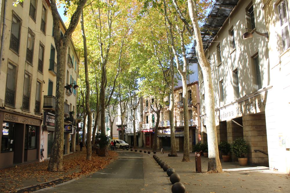 Photo de Musée d'art moderne de Céret