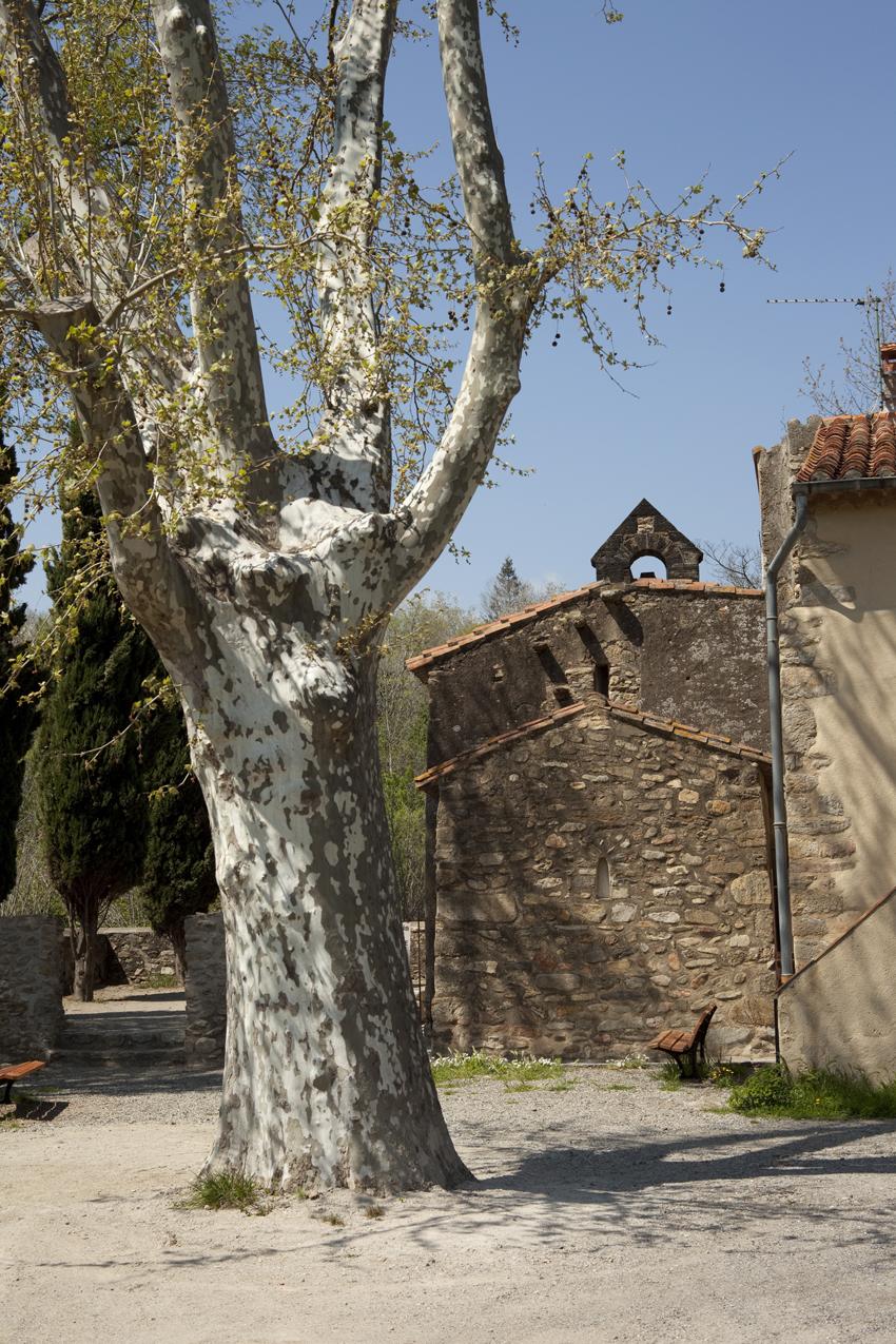 Photo de Chapelle Saint-Martin-de-Fenollar