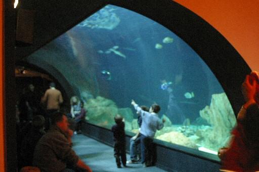 Photo de L'Aquarium de Paris
