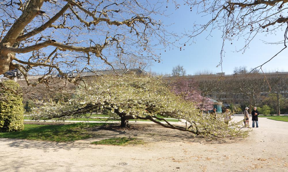 Photo de Le Jardin des Plantes