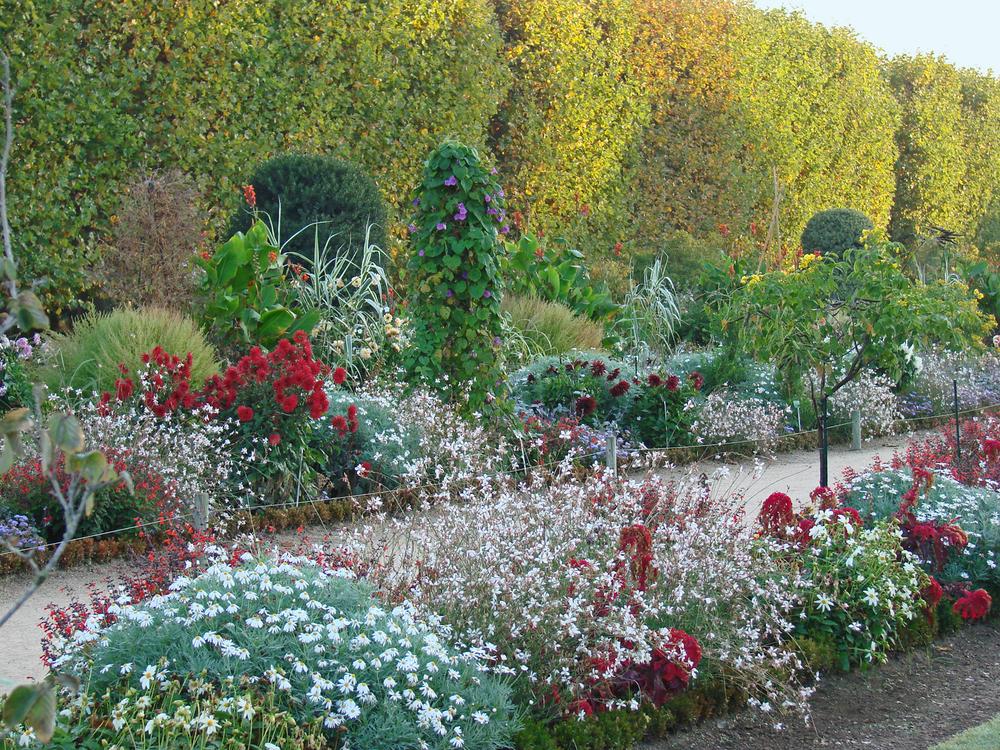 Photo de Le Jardin des Plantes